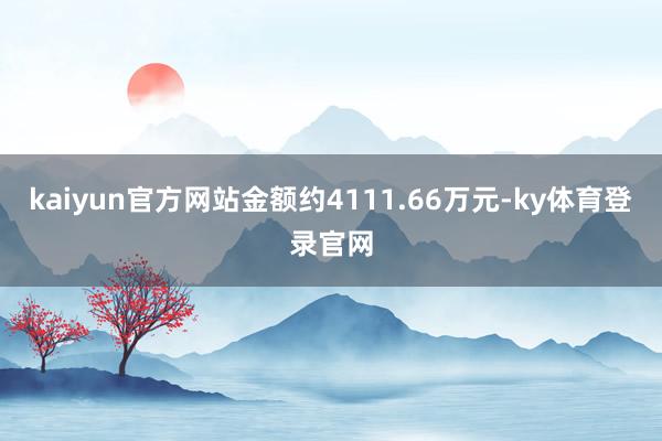 kaiyun官方网站金额约4111.66万元-ky体育登录官网