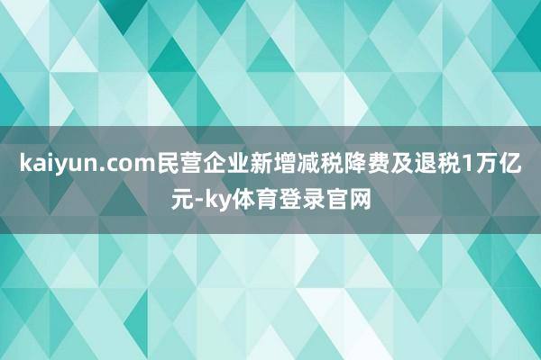 kaiyun.com民营企业新增减税降费及退税1万亿元-ky体育登录官网