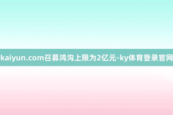 kaiyun.com召募鸿沟上限为2亿元-ky体育登录官网