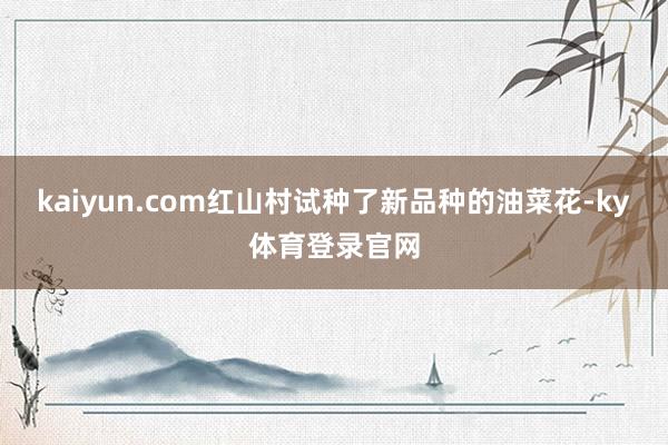 kaiyun.com红山村试种了新品种的油菜花-ky体育登录官网